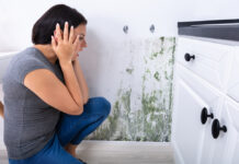 Protecting Your Home or Apartment From Mould